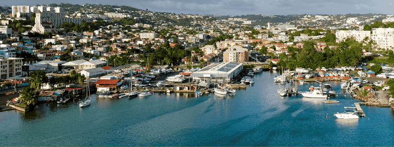 Déménagement Martinique