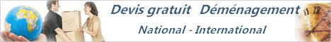 demenageurs internationaux toutes destinations, demande de devis gratuit 